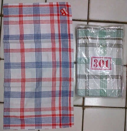 Kuda Terbang 301